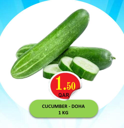 Cucumber from Qatar available at مجموعة ريجنسي in قطر - الدوحة