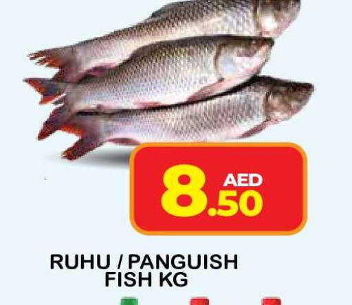 available at فريش سبايك سوبرماركت in الإمارات العربية المتحدة , الامارات - دبي