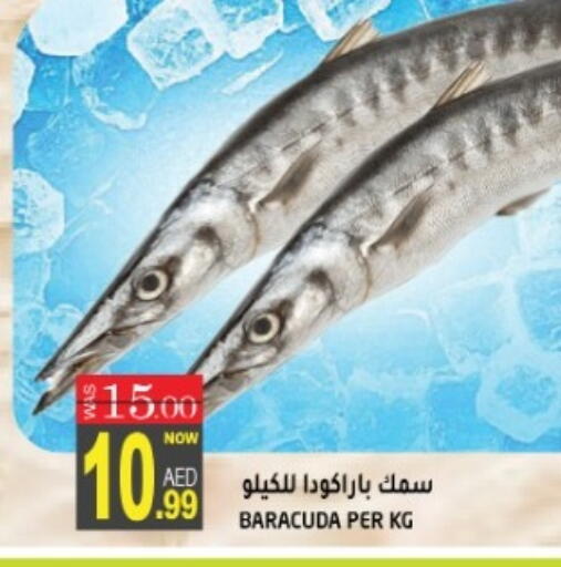 available at هاشم هايبرماركت in الإمارات العربية المتحدة , الامارات - الشارقة / عجمان