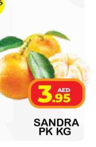 available at فريش سبايك سوبرماركت in الإمارات العربية المتحدة , الامارات - دبي