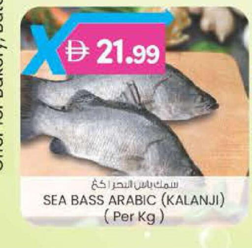 available at الصفا in الإمارات العربية المتحدة , الامارات - أبو ظبي