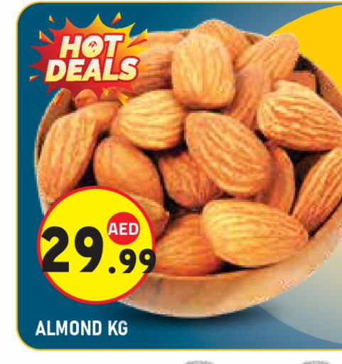 available at سنابل بني ياس in الإمارات العربية المتحدة , الامارات - أبو ظبي