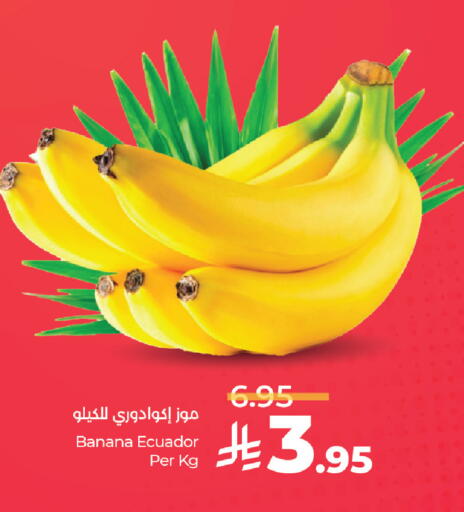 Banana from Ecuador available at لولو هايبرماركت in مملكة العربية السعودية, السعودية, سعودية - المنطقة الشرقية