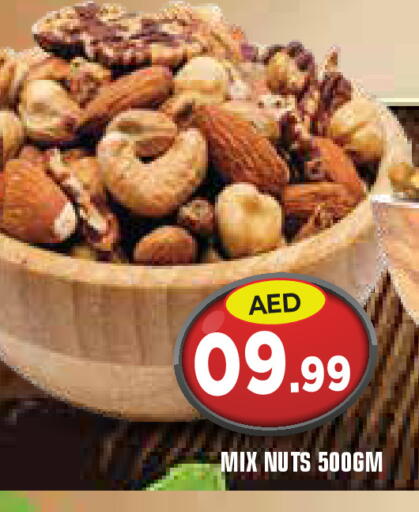 available at سنابل بني ياس in الإمارات العربية المتحدة , الامارات - أم القيوين‎