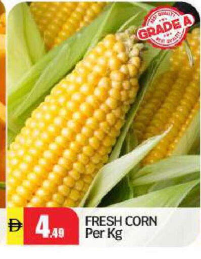 available at بيج مارت in الإمارات العربية المتحدة , الامارات - أبو ظبي