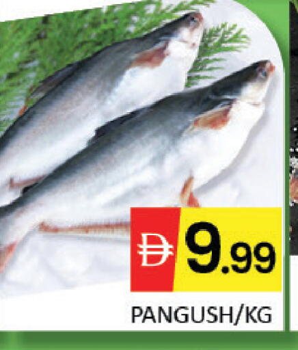 Mango available at مانجو هايبرماركت in الإمارات العربية المتحدة , الامارات - دبي