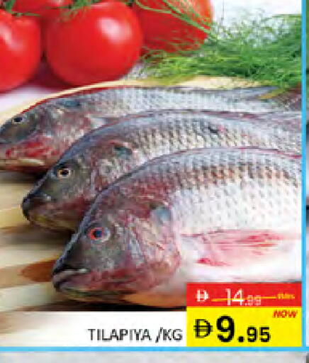 available at المدينة in الإمارات العربية المتحدة , الامارات - دبي