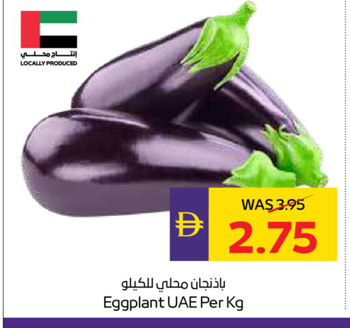 Eggplant available at أدكووب in الإمارات العربية المتحدة , الامارات - ٱلْعَيْن‎
