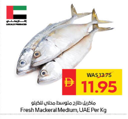 available at سبار هايبرماركت in الإمارات العربية المتحدة , الامارات - ٱلْعَيْن‎