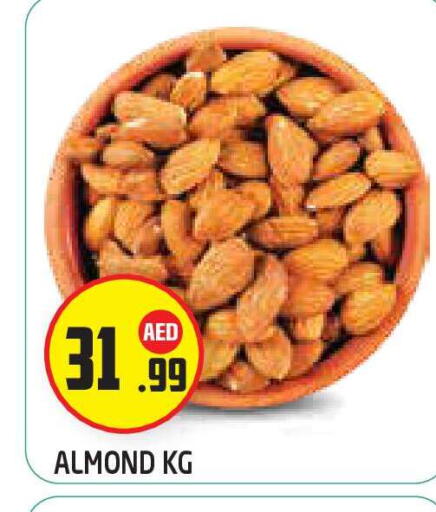 available at سنابل بني ياس in الإمارات العربية المتحدة , الامارات - أبو ظبي