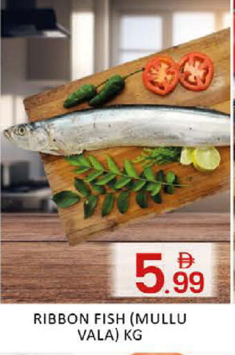 Mango available at مانجو هايبرماركت in الإمارات العربية المتحدة , الامارات - دبي