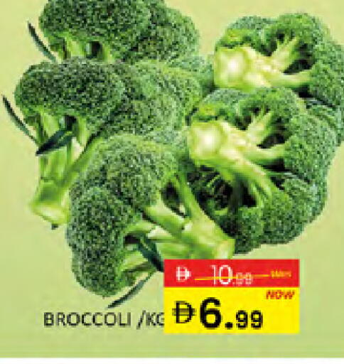 Broccoli available at المدينة in الإمارات العربية المتحدة , الامارات - دبي