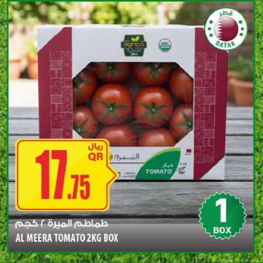 Tomato from Qatar available at شركة الميرة للمواد الاستهلاكية in قطر - الدوحة