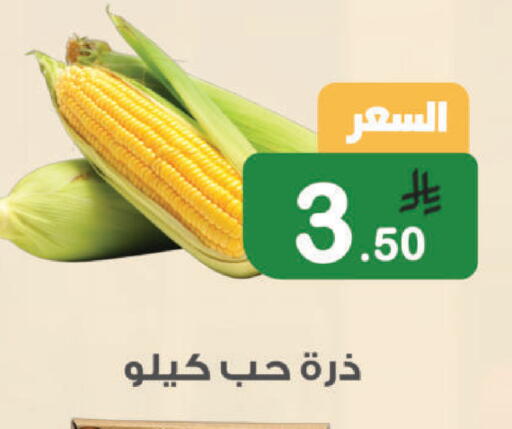 available at أسواق الرشيد in مملكة العربية السعودية, السعودية, سعودية - الرياض