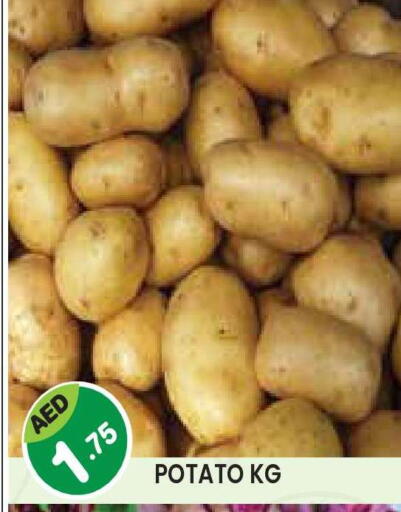 Potato available at سنابل بني ياس in الإمارات العربية المتحدة , الامارات - أبو ظبي