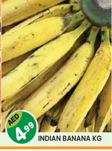 Banana from India available at سنابل بني ياس in الإمارات العربية المتحدة , الامارات - أم القيوين‎