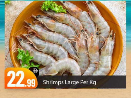 available at بيج مارت in الإمارات العربية المتحدة , الامارات - أبو ظبي