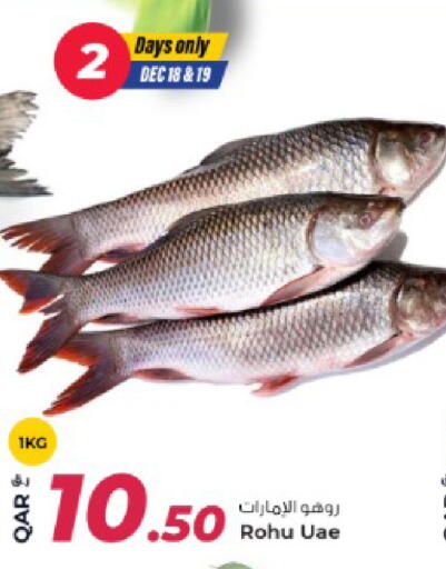 available at روابي هايبرماركت in قطر - الوكرة