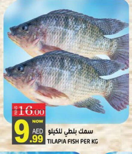 available at هاشم هايبرماركت in الإمارات العربية المتحدة , الامارات - الشارقة / عجمان