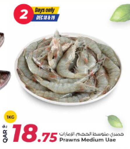 available at روابي هايبرماركت in قطر - الوكرة