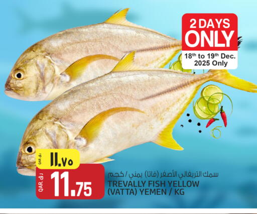 available at Kenz Mini Mart in Qatar - Umm Salal