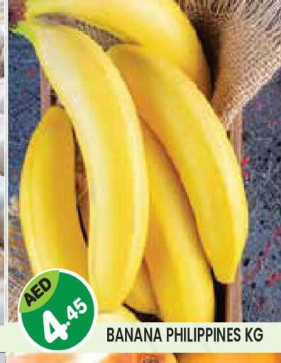 Banana from Philippines available at سنابل بني ياس in الإمارات العربية المتحدة , الامارات - أبو ظبي