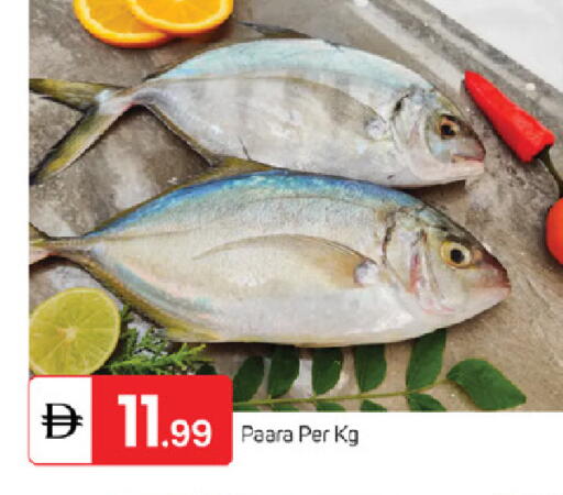 available at TALAL MARKET in UAE - Fujairah