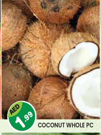 Coconut available at Baniyas Spike  in UAE - Umm al Quwain