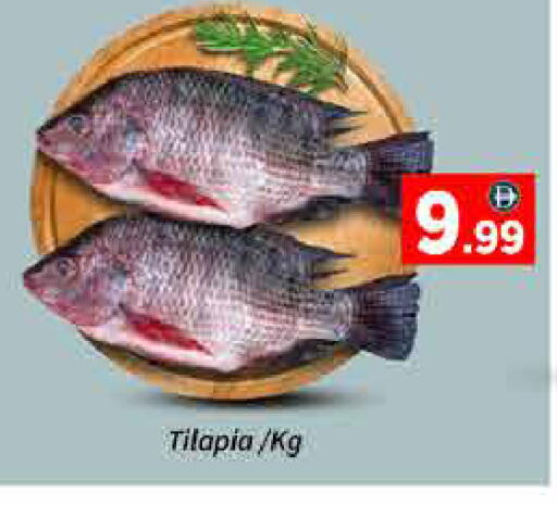 available at ايكو مول & ايكو هايبرماركت in الإمارات العربية المتحدة , الامارات - دبي