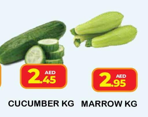 Cucumber Marrow available at فريش سبايك سوبرماركت in الإمارات العربية المتحدة , الامارات - دبي