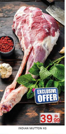 Mango available at مانجو هايبرماركت in الإمارات العربية المتحدة , الامارات - دبي