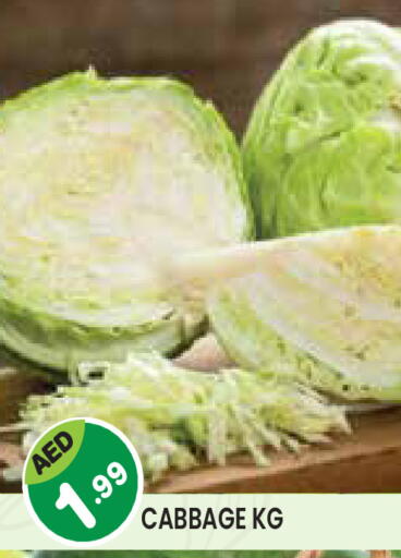 Cabbage available at Baniyas Spike  in UAE - Umm al Quwain