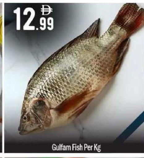 available at BIGmart in UAE - Abu Dhabi