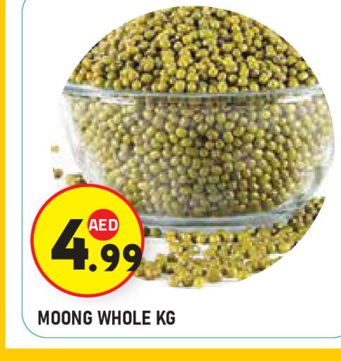 available at سنابل بني ياس in الإمارات العربية المتحدة , الامارات - أبو ظبي