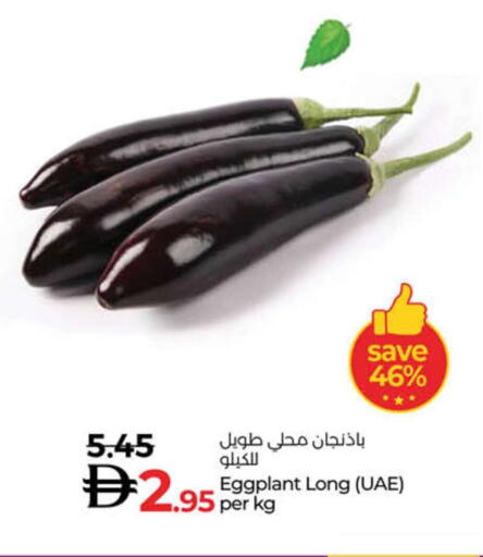 Eggplant available at لولو هايبرماركت in الإمارات العربية المتحدة , الامارات - دبي