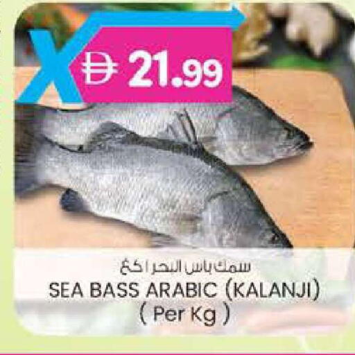 available at صفا هايبر in الإمارات العربية المتحدة , الامارات - ٱلْعَيْن‎