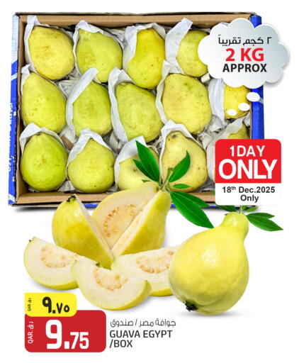 Guava from Egypt available at السعودية in قطر - الضعاين