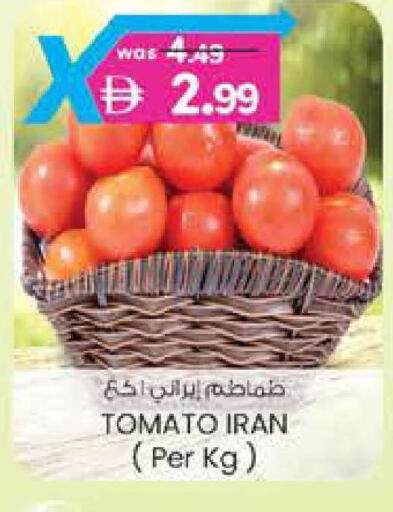 Tomato from Iran available at الصفا in الإمارات العربية المتحدة , الامارات - أبو ظبي