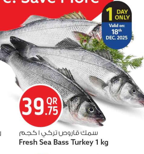 available at سفاري هايبر ماركت in قطر - الخور