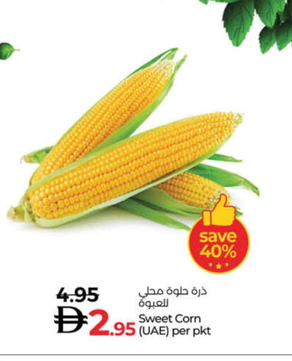 available at لولو هايبرماركت in الإمارات العربية المتحدة , الامارات - دبي