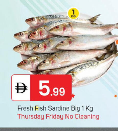 available at سوق طلال in الإمارات العربية المتحدة , الامارات - الشارقة / عجمان