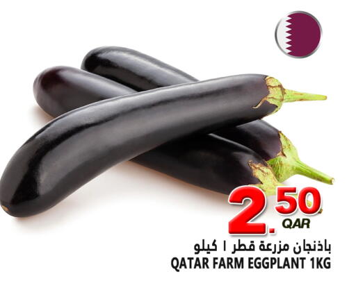 Eggplant from Qatar available at قصر الأغذية هايبرماركت in قطر - الخور