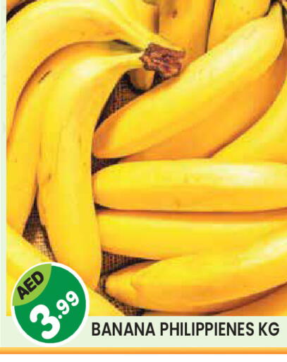 Banana available at سنابل بني ياس in الإمارات العربية المتحدة , الامارات - أم القيوين‎