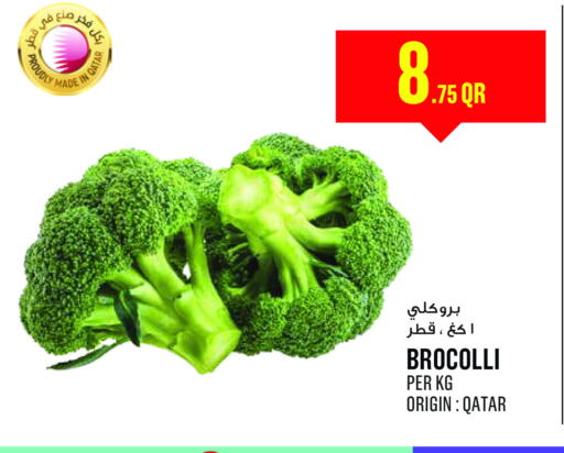 from Qatar available at مونوبريكس in قطر - الشمال