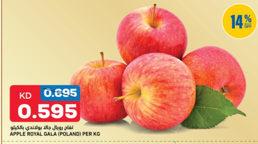 Apple from Poland available at Oncost in Kuwait - Kuwait City