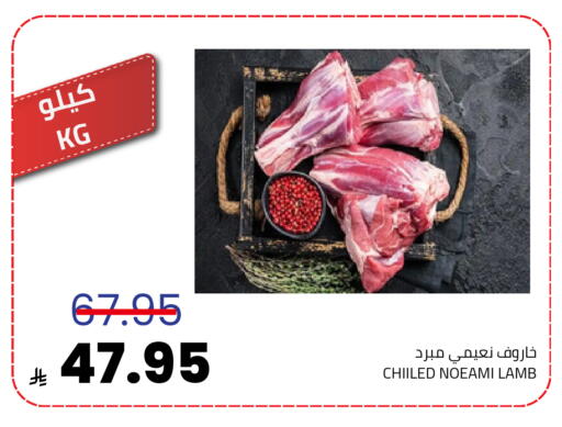 available at أسواق أسترا in مملكة العربية السعودية, السعودية, سعودية - تبوك