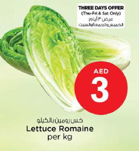 Lettuce available at نستو هايبرماركت in الإمارات العربية المتحدة , الامارات - رَأْس ٱلْخَيْمَة