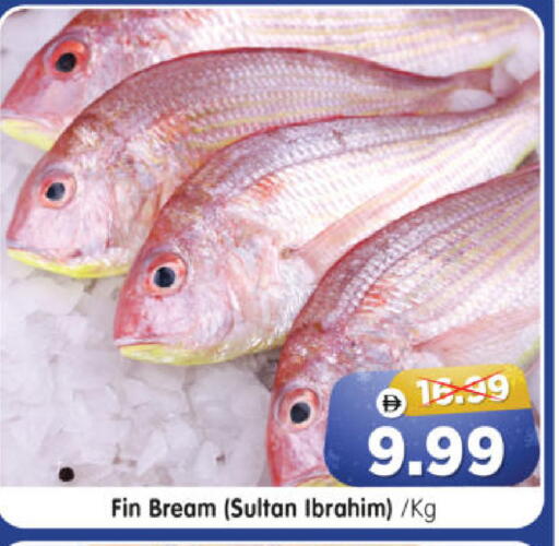 available at Al Madina Hypermarket in UAE - Abu Dhabi