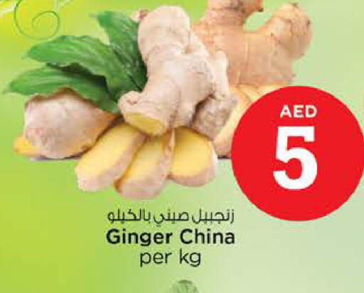 Ginger from China available at نستو هايبرماركت in الإمارات العربية المتحدة , الامارات - رَأْس ٱلْخَيْمَة