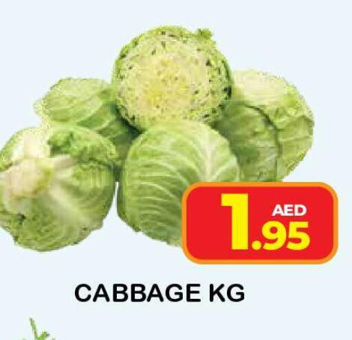 Cabbage available at فريش سبايك سوبرماركت in الإمارات العربية المتحدة , الامارات - دبي